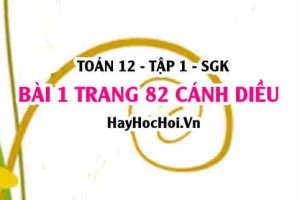 Bài 1 trang 82 Toán 12 tập 1 Cánh Diều